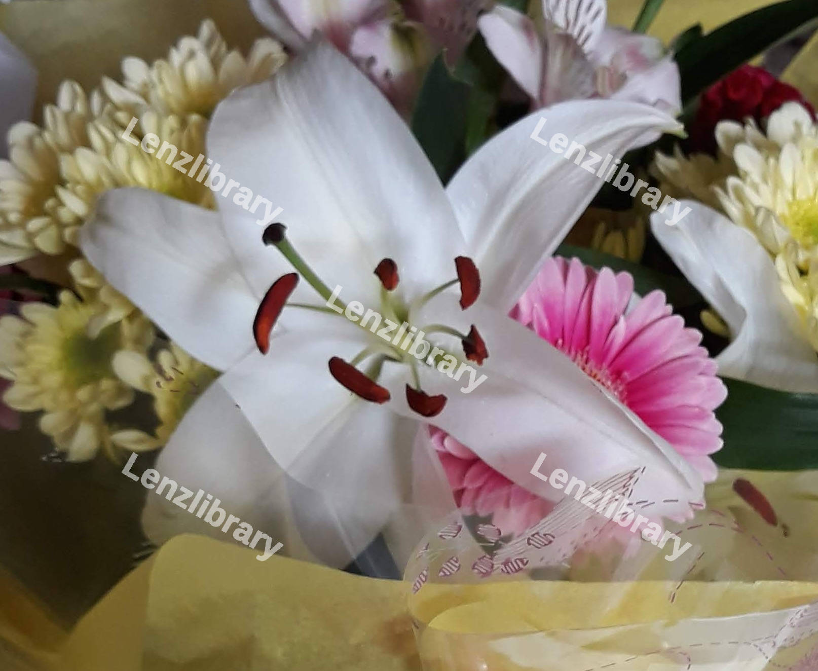 White Flower